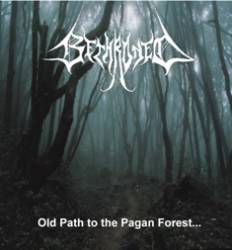 Bethroned : Old Path to the Pagan Forest